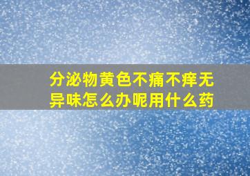 分泌物黄色不痛不痒无异味怎么办呢用什么药