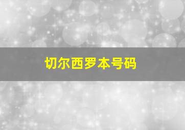 切尔西罗本号码