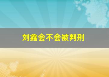 刘鑫会不会被判刑