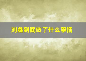 刘鑫到底做了什么事情