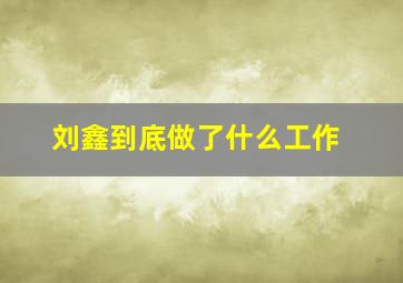 刘鑫到底做了什么工作