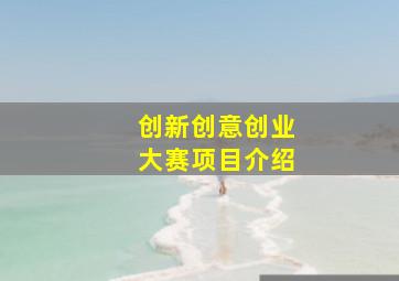 创新创意创业大赛项目介绍