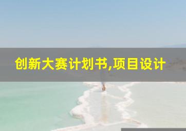 创新大赛计划书,项目设计