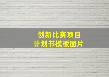 创新比赛项目计划书模板图片