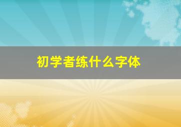 初学者练什么字体