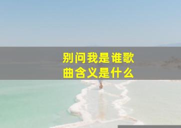 别问我是谁歌曲含义是什么