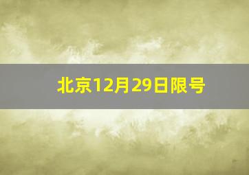 北京12月29日限号