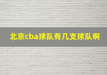 北京cba球队有几支球队啊