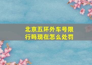 北京五环外车号限行吗现在怎么处罚