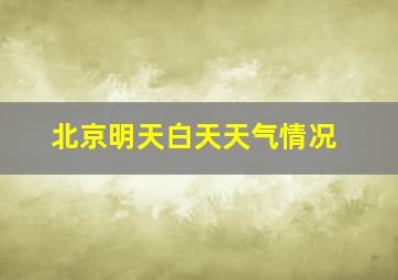 北京明天白天天气情况