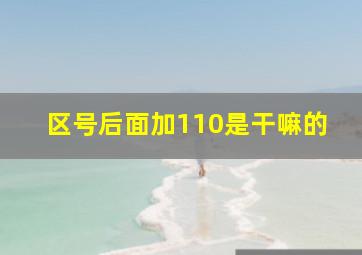 区号后面加110是干嘛的