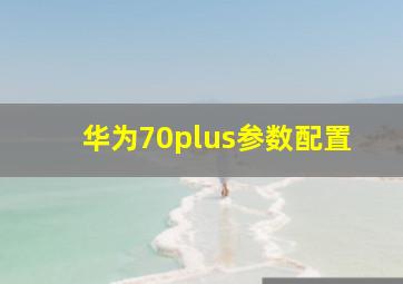 华为70plus参数配置