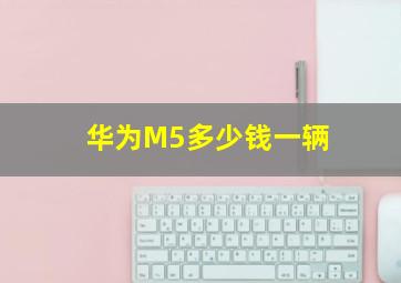 华为M5多少钱一辆