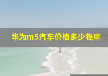 华为m5汽车价格多少钱啊