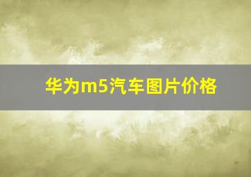 华为m5汽车图片价格