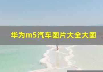 华为m5汽车图片大全大图