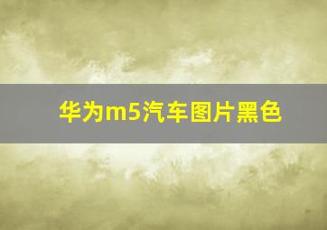 华为m5汽车图片黑色