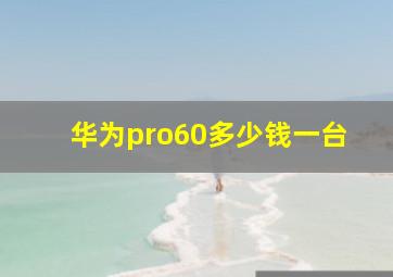 华为pro60多少钱一台