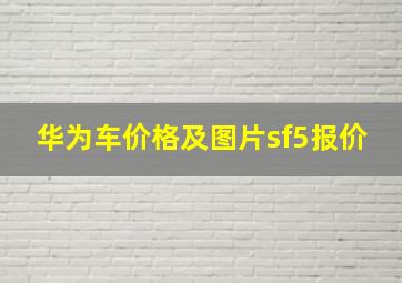 华为车价格及图片sf5报价