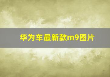 华为车最新款m9图片