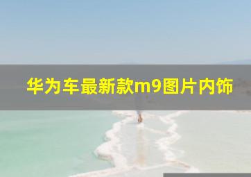 华为车最新款m9图片内饰