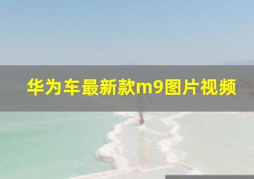 华为车最新款m9图片视频