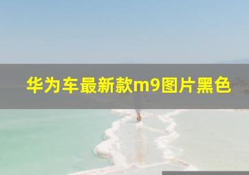 华为车最新款m9图片黑色