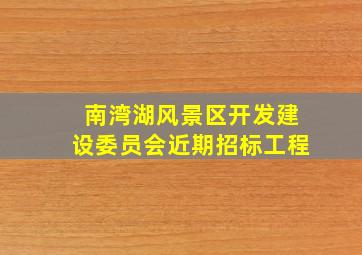 南湾湖风景区开发建设委员会近期招标工程