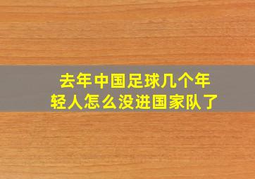 去年中国足球几个年轻人怎么没进国家队了