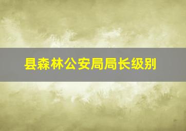 县森林公安局局长级别