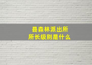 县森林派出所所长级别是什么