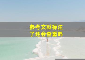 参考文献标注了还会查重吗