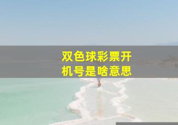 双色球彩票开机号是啥意思