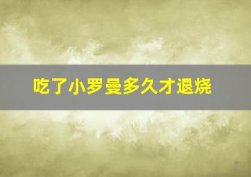 吃了小罗曼多久才退烧