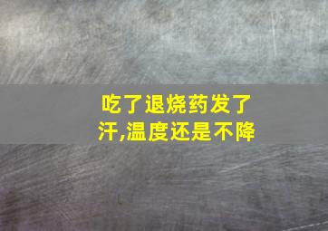 吃了退烧药发了汗,温度还是不降