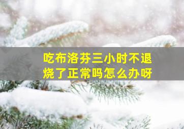 吃布洛芬三小时不退烧了正常吗怎么办呀