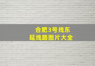 合肥3号线东延线路图片大全