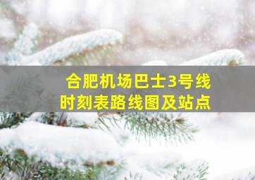 合肥机场巴士3号线时刻表路线图及站点