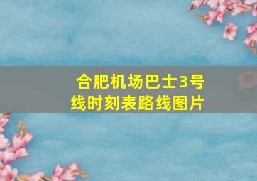 合肥机场巴士3号线时刻表路线图片