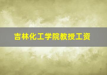 吉林化工学院教授工资