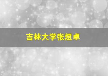 吉林大学张煜卓