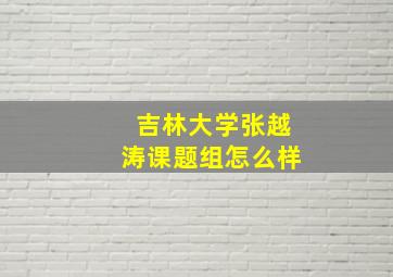 吉林大学张越涛课题组怎么样