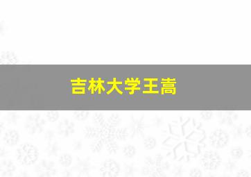 吉林大学王嵩