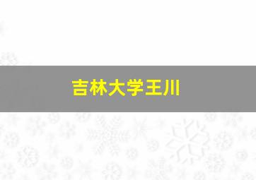 吉林大学王川