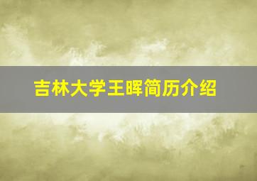 吉林大学王晖简历介绍