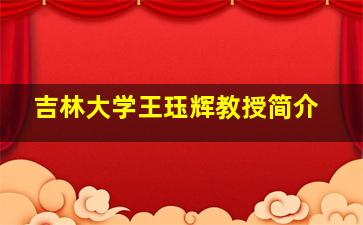 吉林大学王珏辉教授简介