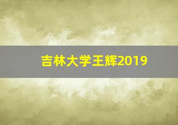 吉林大学王辉2019