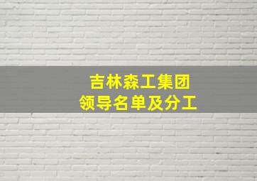 吉林森工集团领导名单及分工