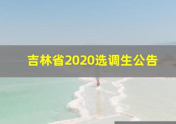 吉林省2020选调生公告