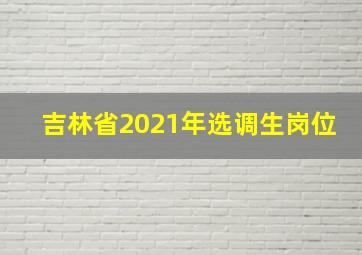 吉林省2021年选调生岗位